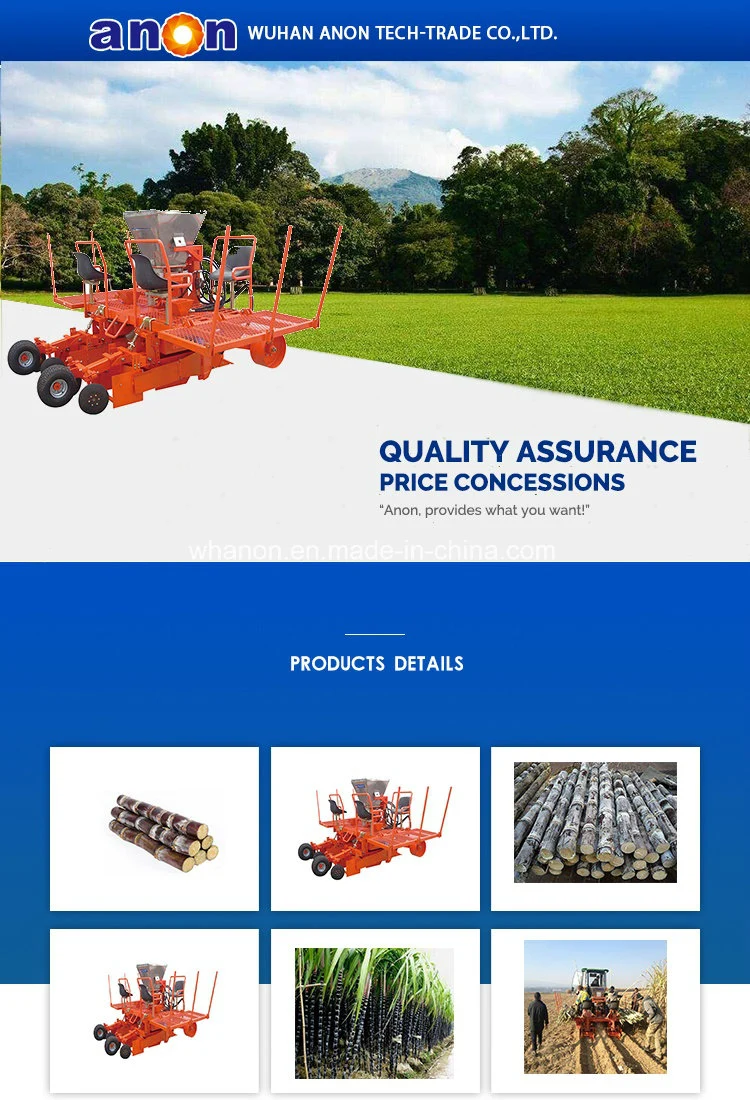 Anon 2 Rows 3 Rows Sugarcane Planting Machine Sugarcane Planter