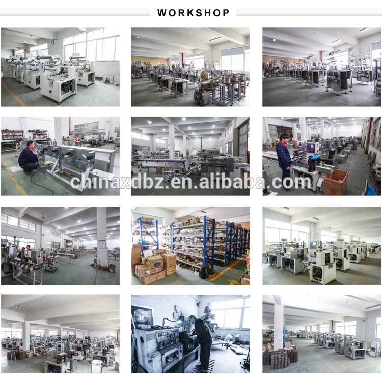 Automatic Powder Filling Machine/Powder Packing Machine/Coffee Powder Granular Packing Equipment