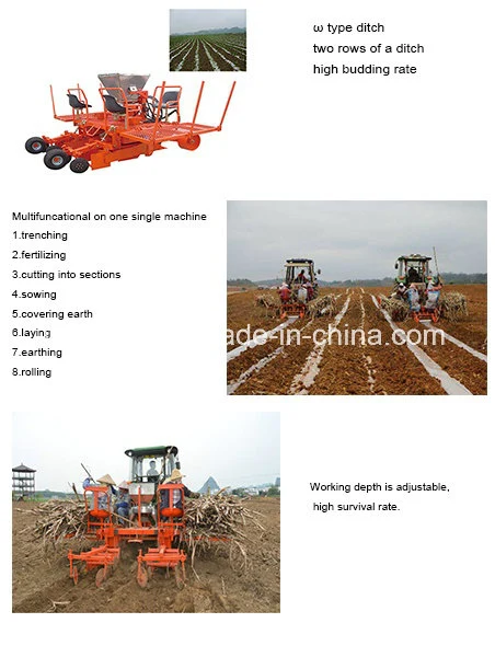 Anon 2 Rows 3 Rows Sugarcane Planting Machine Sugarcane Planter