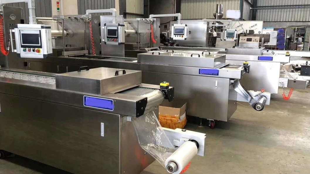 Automatic Thermoforming Vacuum Packing Machine/Continuous Stretch Film Vacuum Sealer for Small Bags