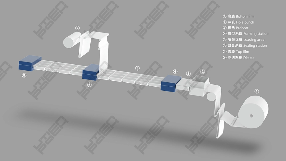 High Speed Food Plastic Blister Vacuum Thermoformer Dzl-420y