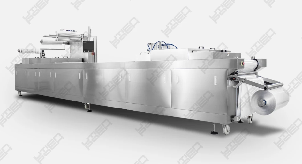 Automatic Thermoforming Vacuum Gas Flush Packing Equipment for Fruit