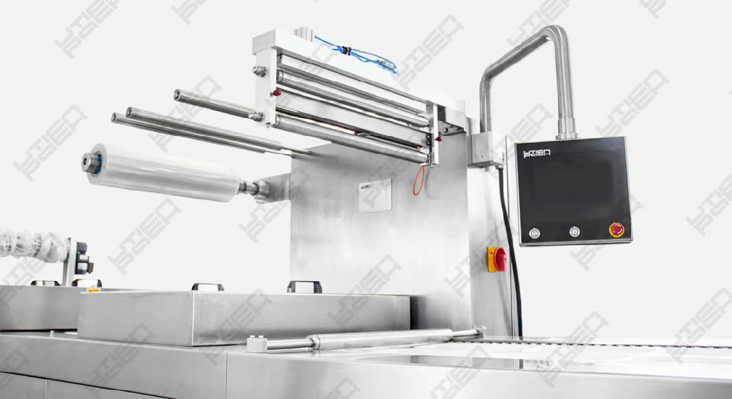 Automatic Thermoforming Vacuum Gas Flush Packing Equipment for Fruit