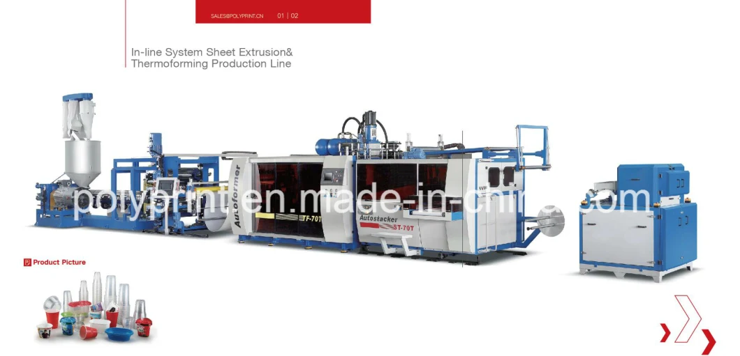 Plastic Cup Forming Machine/ Thermoforming Machine