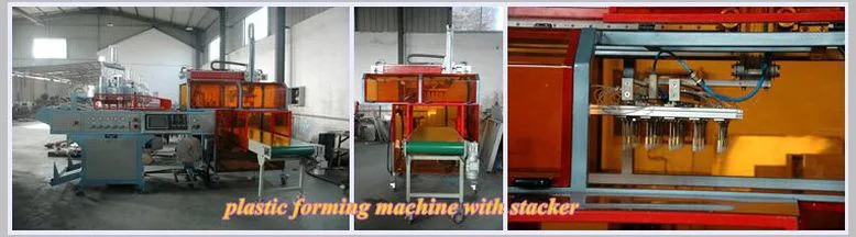 Full-Automatic PVC Thermoforming & Stacking Machine (HY-540760)