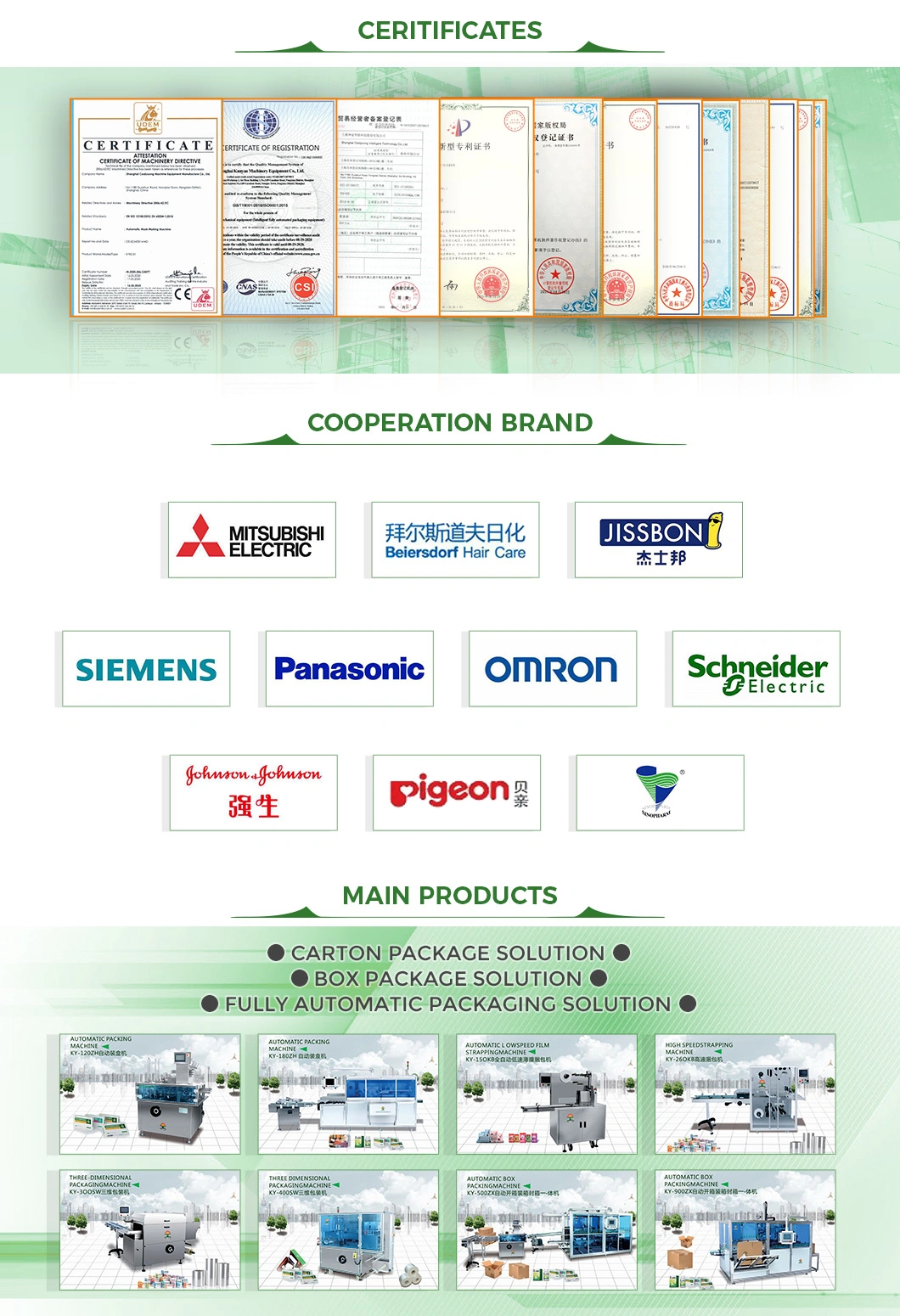 Automatic Boxing Making Machine Multi Functional Case Packing Machine Manufacturers