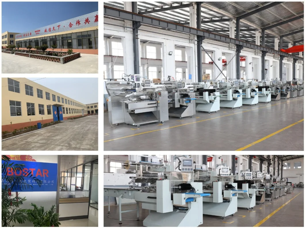 Packaging Machine Automatic Big Mac Burger Bun Full Horizontal Pillow Type Wrapping Machine