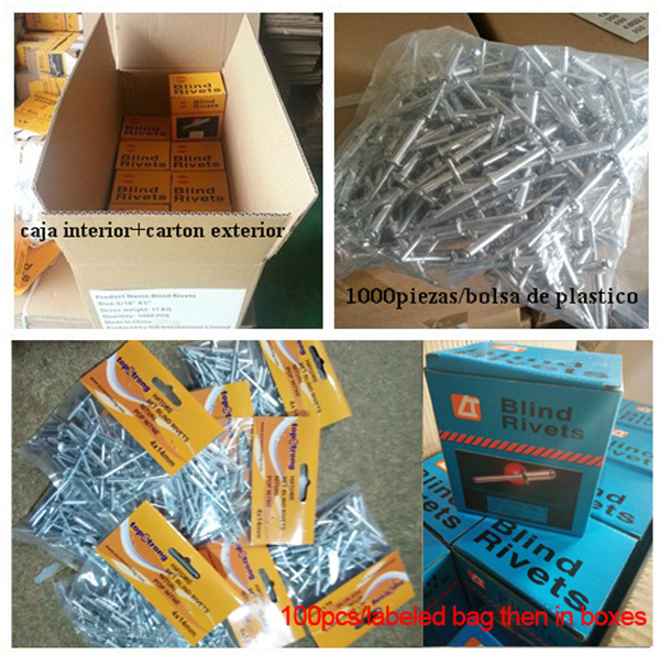 Al Blind Pop Rivets with Steel Mandrel