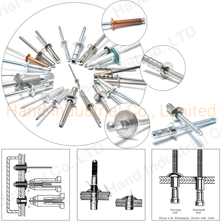 Professional Large Head Rivets Types Stainless Steel Blind Rivet