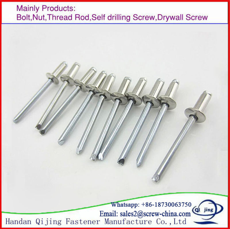 Customized Closed End Blind Rivet/Rivet Manufacturer/Aluminum Metal Rivet