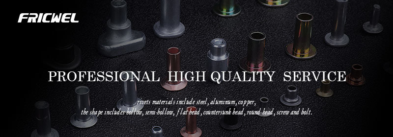 Fricwel Auto Parts Aluminum Blind Rivets Aluminium Rivet Aluminium Pop Rivets L-by