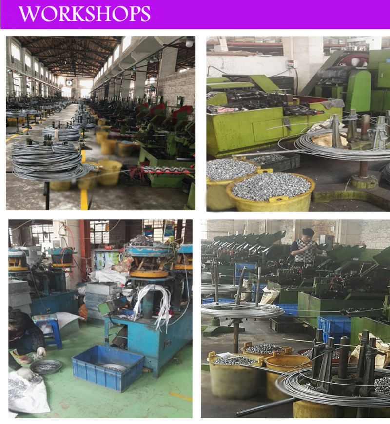 Steel Zinc Plating Large Head Blind Pop Rivet Standard