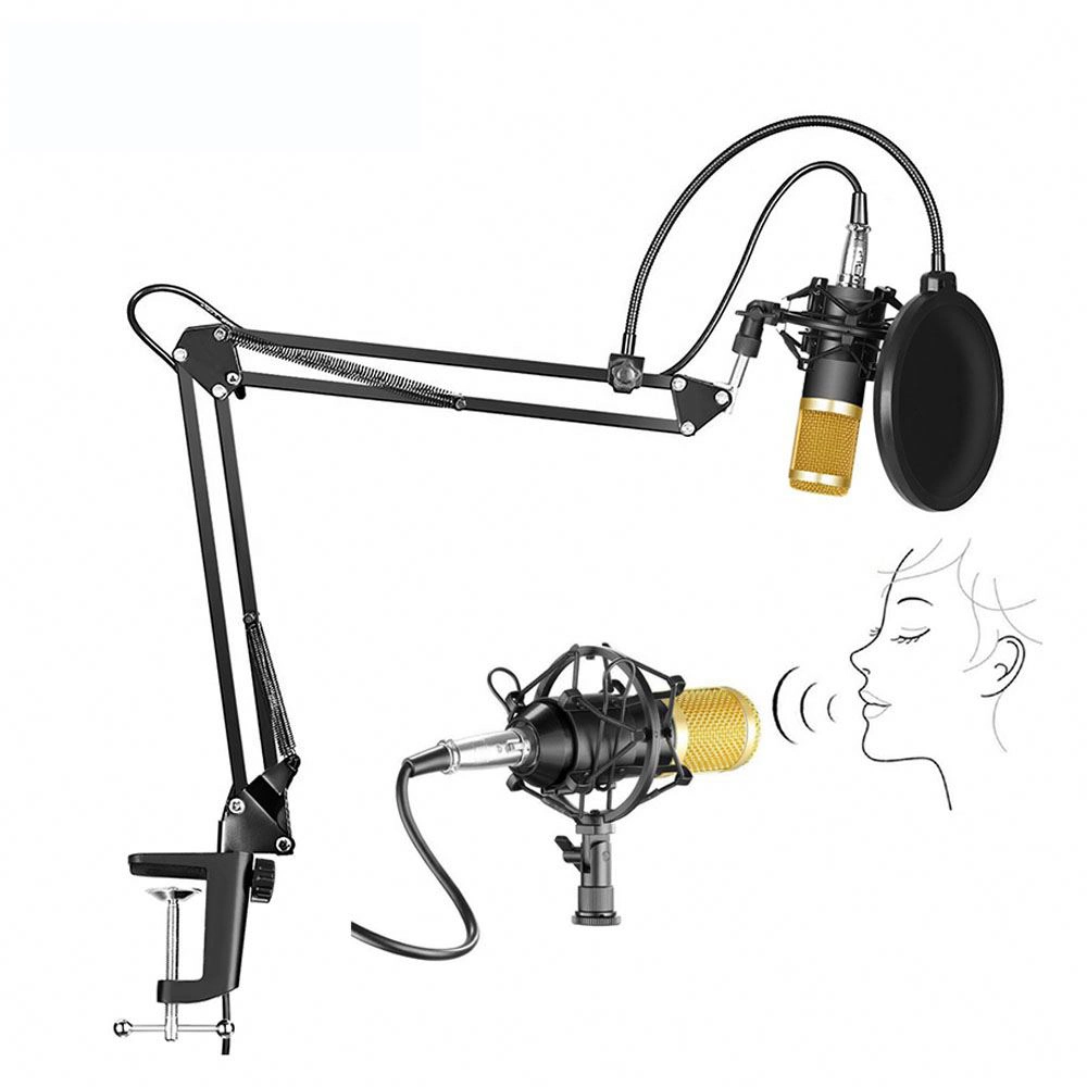 High Quality Portable Professional Studio Recording Microphone Set Condenser Microphone