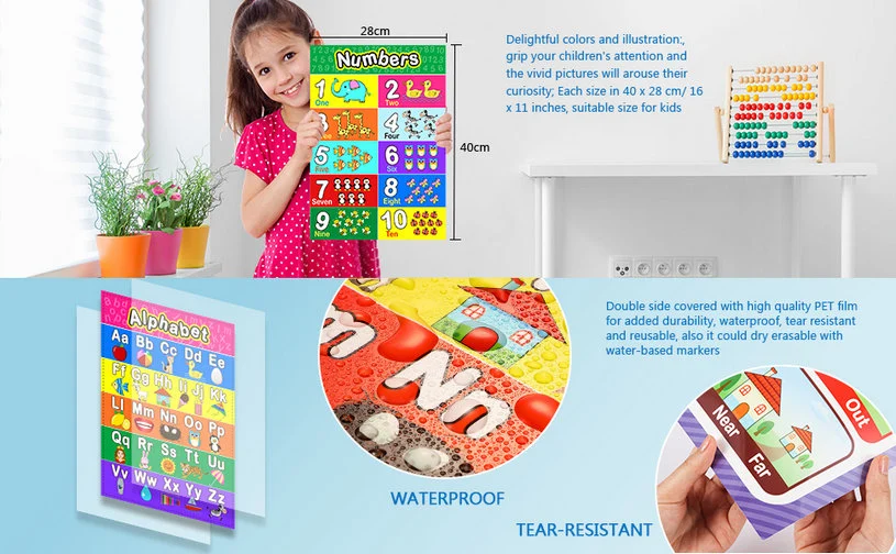 Customized Waterproof Dry Erase Laminated Colorful Prechool Kids Education Posters