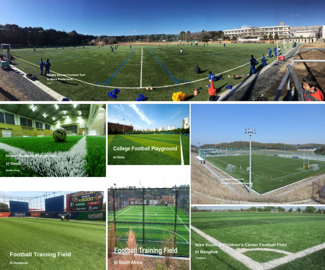 Football Grass for Football Field or Futsal Field (SF)