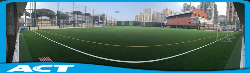 Non-Infilled Soccer Grass for Football Field Baseball Field V30-R