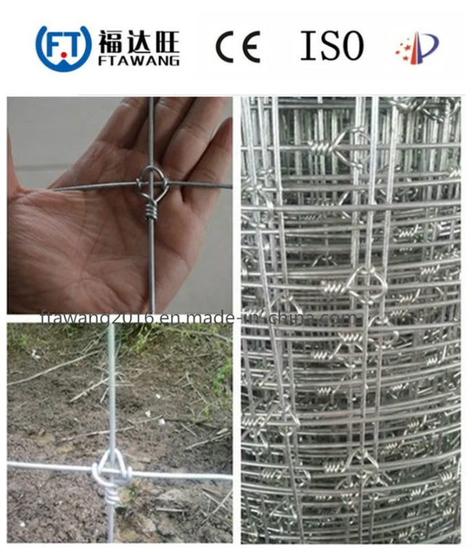 Wholesale Farm Field Fence/Wire Mesh Fence/Field Fence