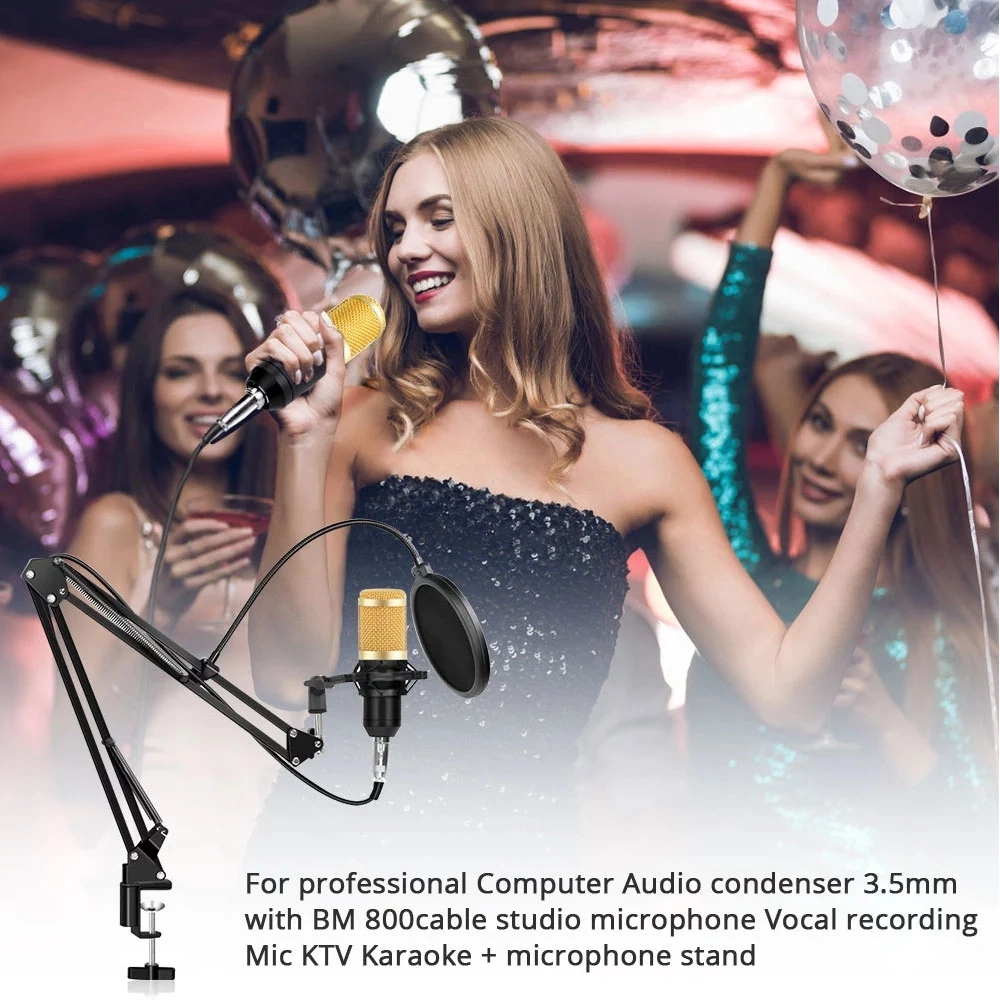 High Quality Portable Professional Studio Recording Microphone Set Condenser Microphone