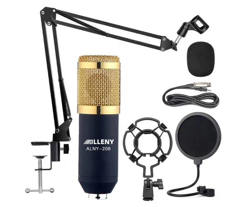 Bm800 Full Set Condenser Microphone Studio Kit