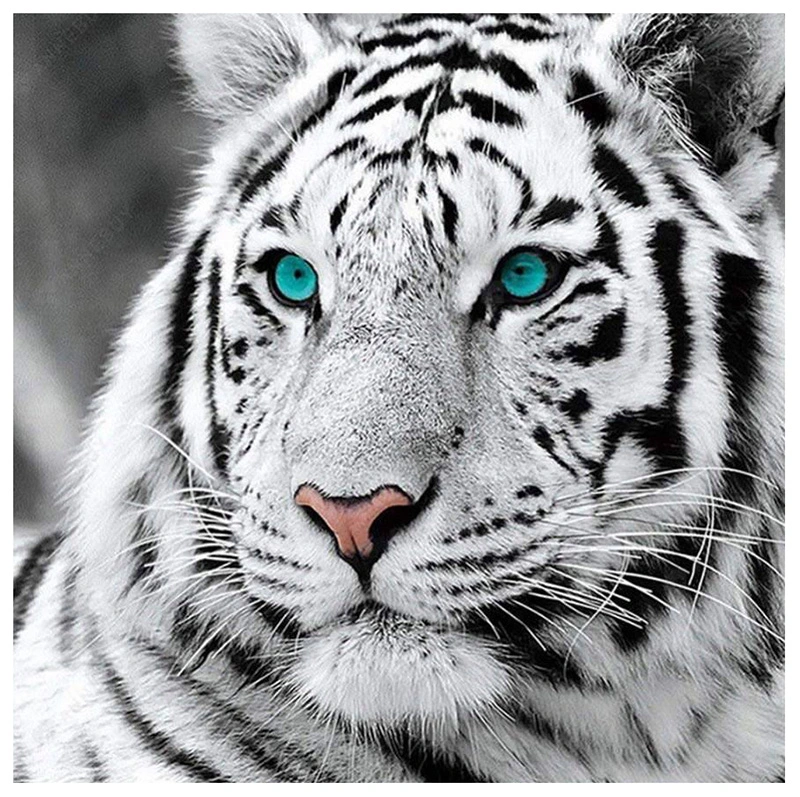 White Tiger Full Drill Diamond Painting Beads Art Painting on Canvas