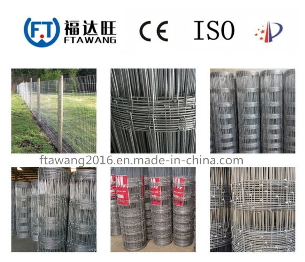 Hot Sale Farm Field Fence/Wire Mesh Fence/Field Fence