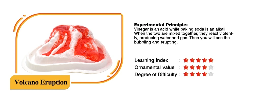 Science Lab Activity Set Science Exploration Kit for Kids