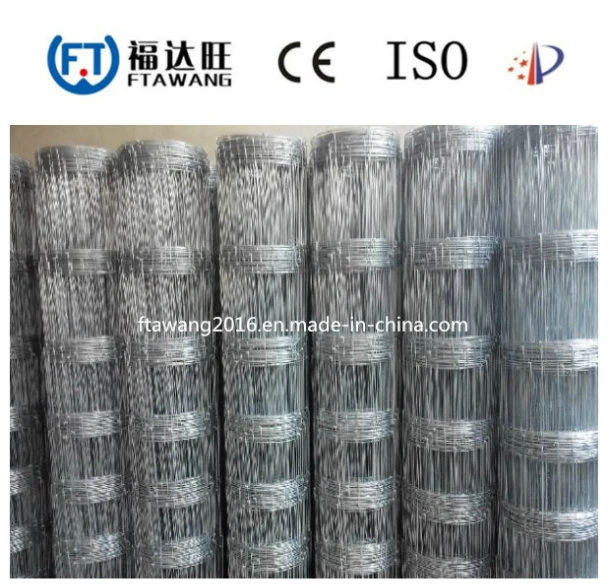 Hot Sale Farm Field Fence/Wire Mesh Fence/Field Fence