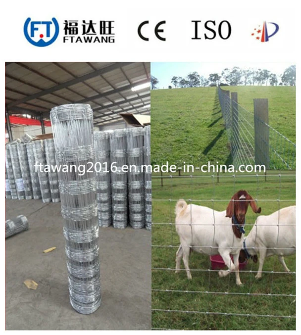 Hot Sale Farm Field Fence/Wire Mesh Fence/Field Fence