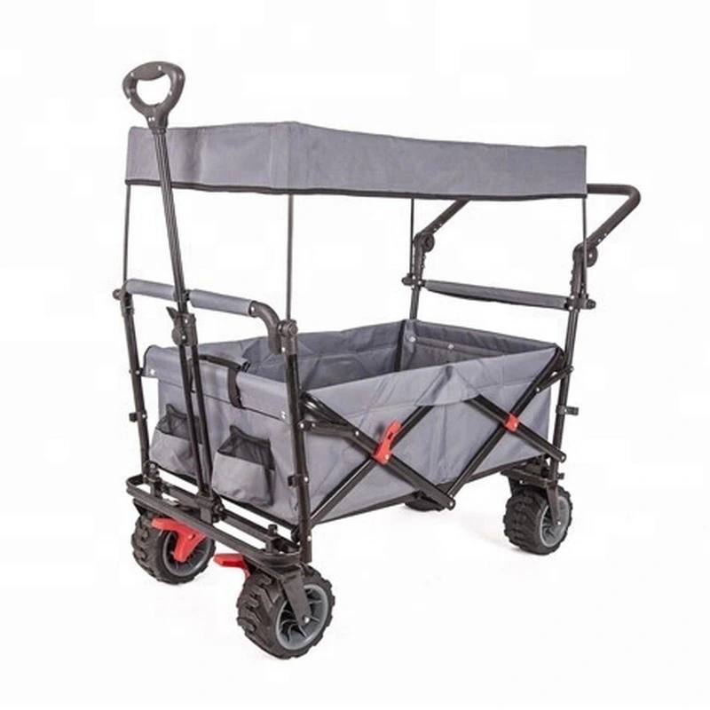 Tr9130GS New Design Push Moving Foldable Wagon Carts for Kids