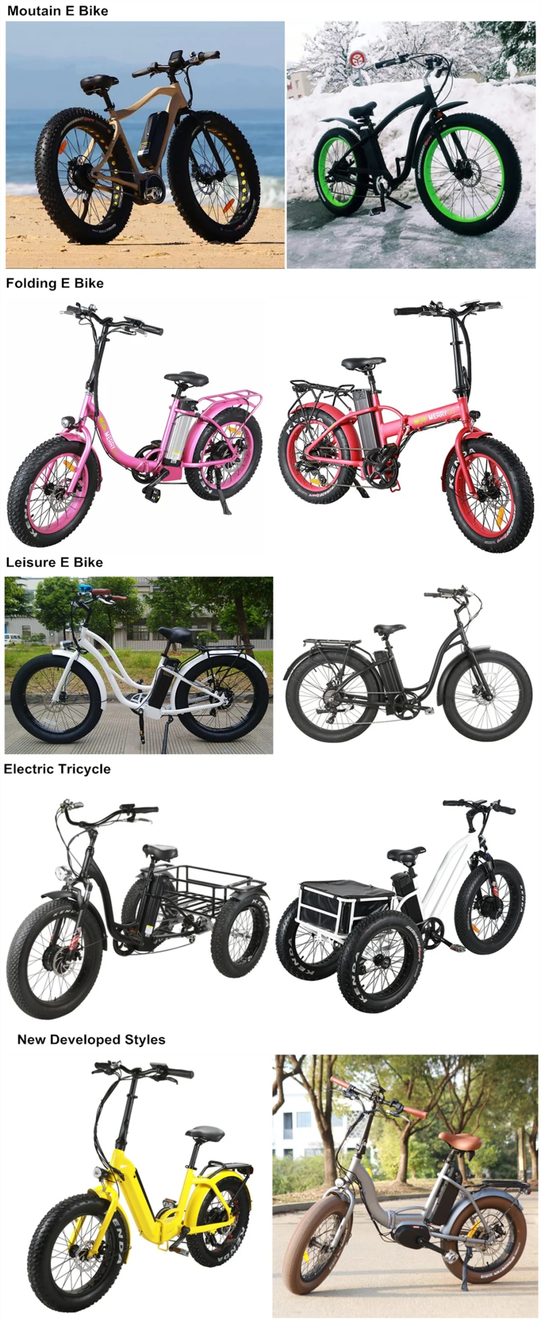 36V350W/500W Folding Electric Bicycle with LCD Display