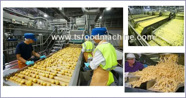 Automatic French Fry Cutter Machine, French Fry Cutter Machine, French Fry Cutter