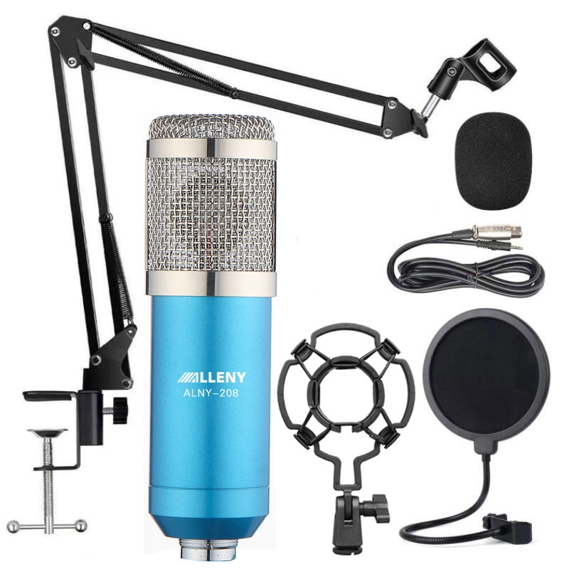 Bm800 Full Set Condenser Microphone Studio Kit