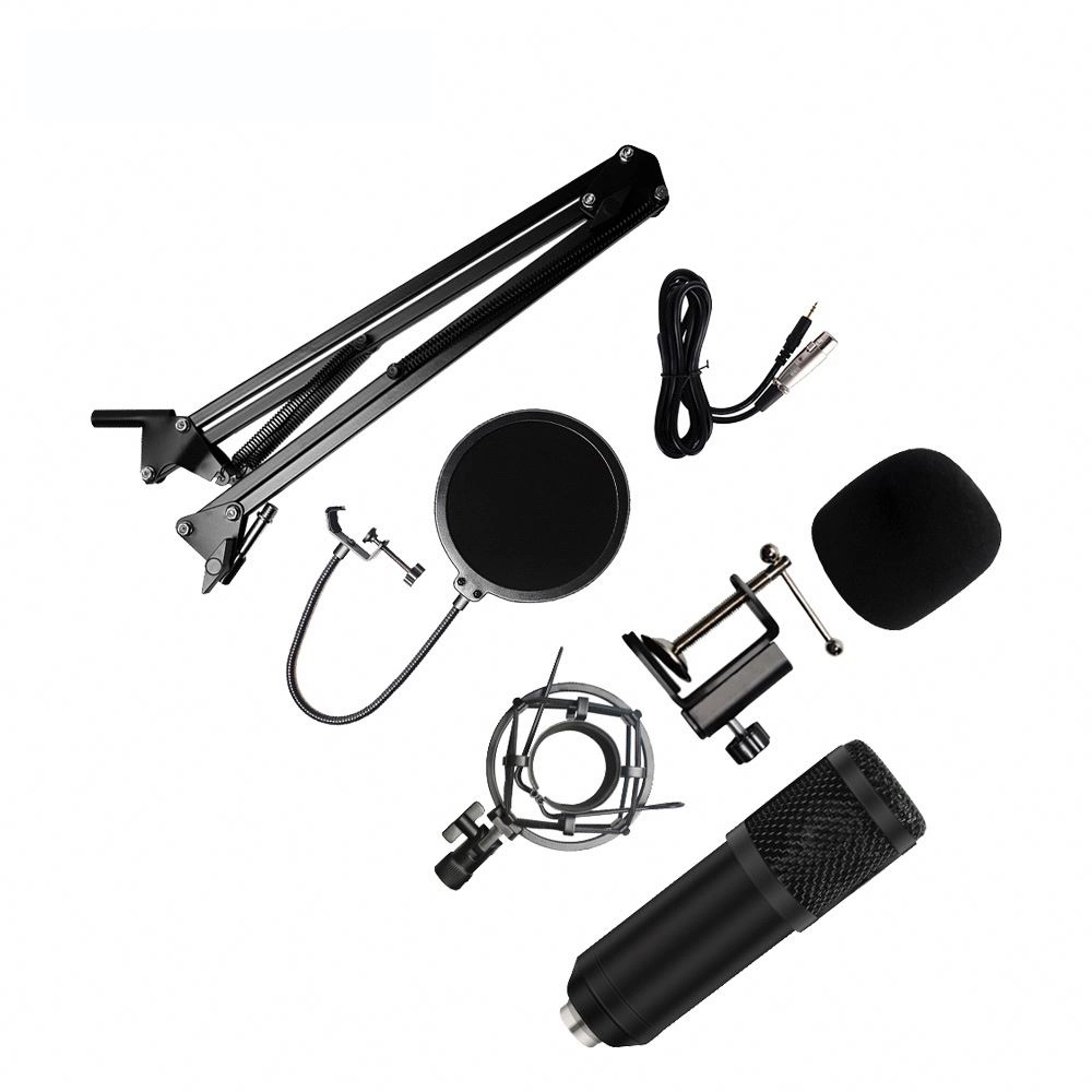 High Quality Portable Professional Studio Recording Microphone Set Condenser Microphone