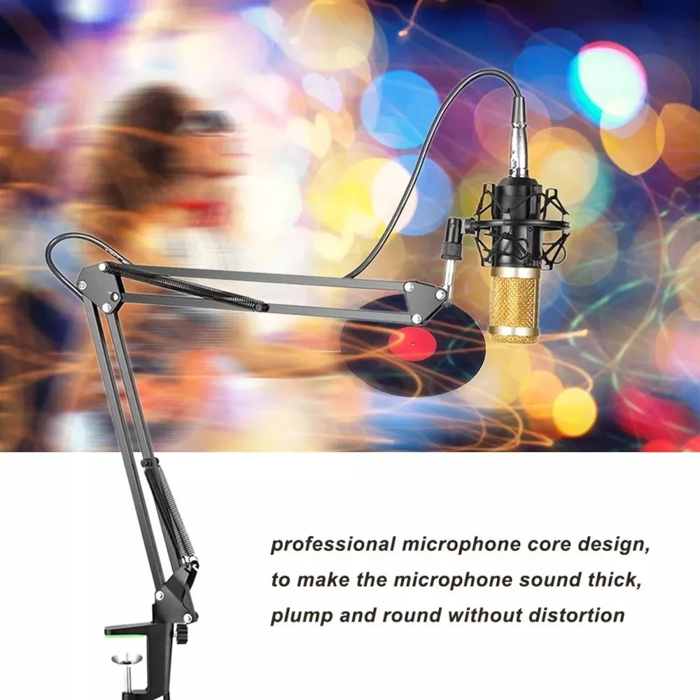 High Quality Portable Professional Studio Recording Microphone Set Condenser Microphone