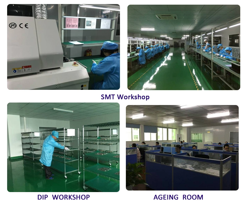 Custom Double-Sided Printed Circuit Board Assembly Manufacturer