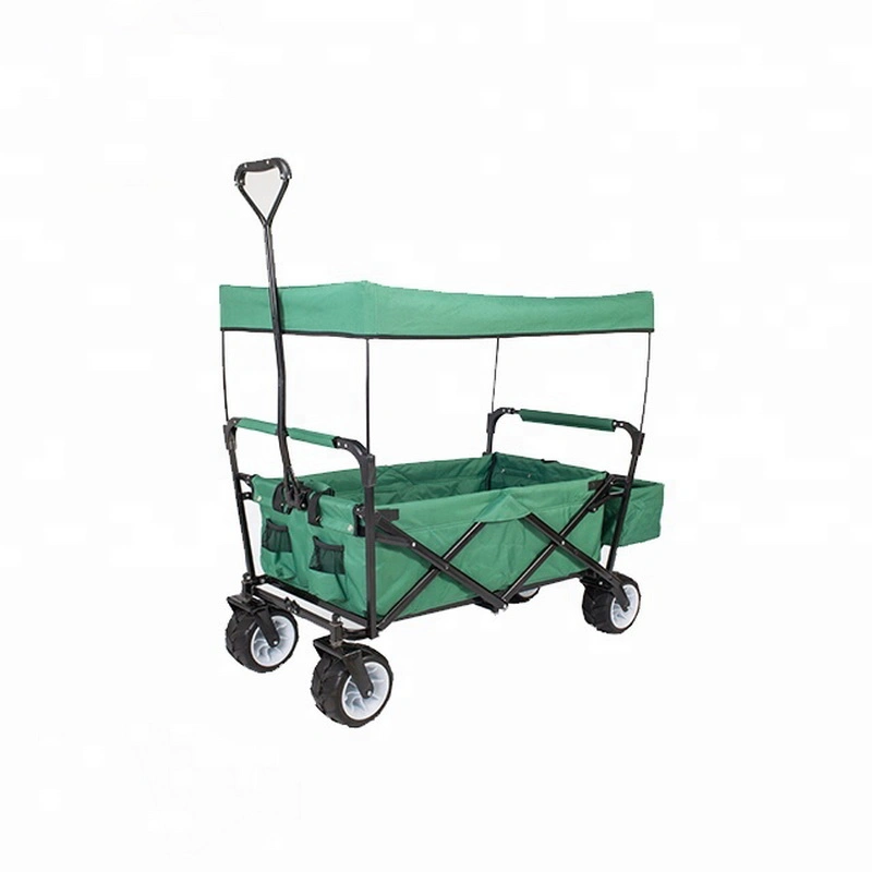 Tr9130GS New Design Push Moving Foldable Wagon Carts for Kids