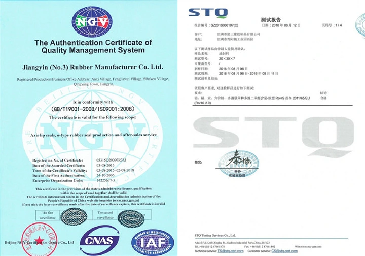 Acm O-Ring Seal of Piston Rod in Reciprocating Hydraulic Cylinder