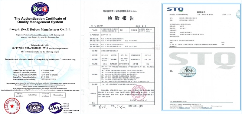 Customized Oil - Resistant Fluorine Rubber Skeleton Seal Seals