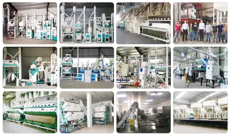 Three Chutes Intelligent Color Sorter with Automatic Dust Removal System