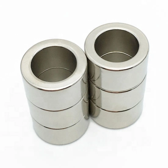 Powerful Permanent Rare-Earth Radial Oriented Magnetization Neodymium Ring /Disc/Arc Magnets