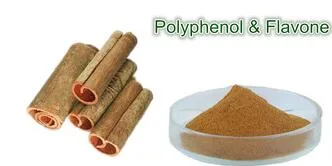 Cinnamon Flavone: 10%, 20% Cortex Cinnamomi Extract Cinnamon Bark Extract