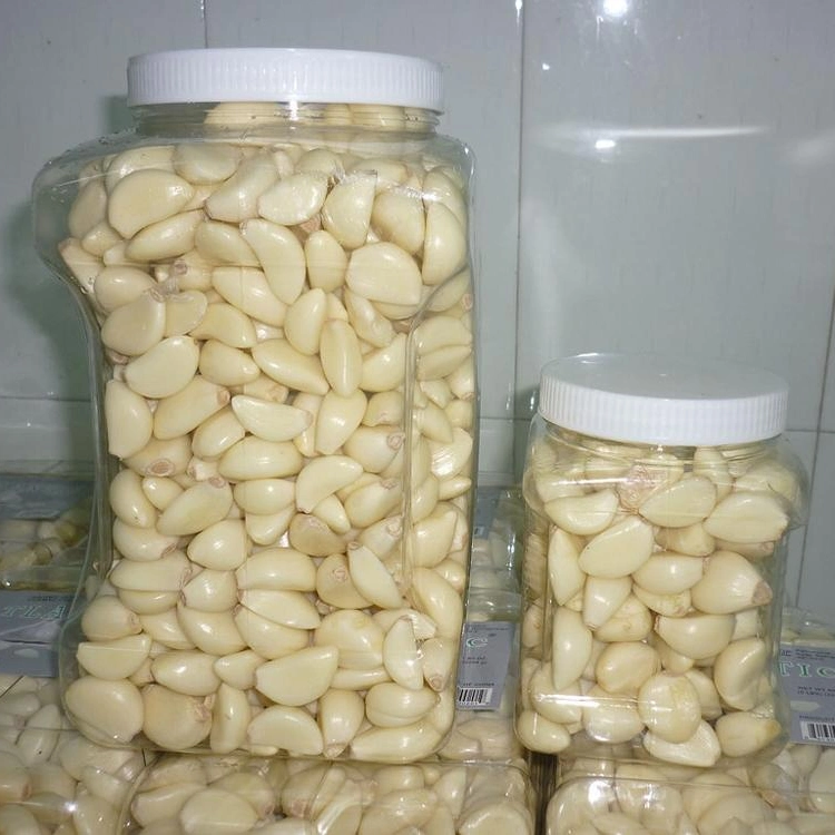 Fresh Vacuum Packed Garlic Cloves China