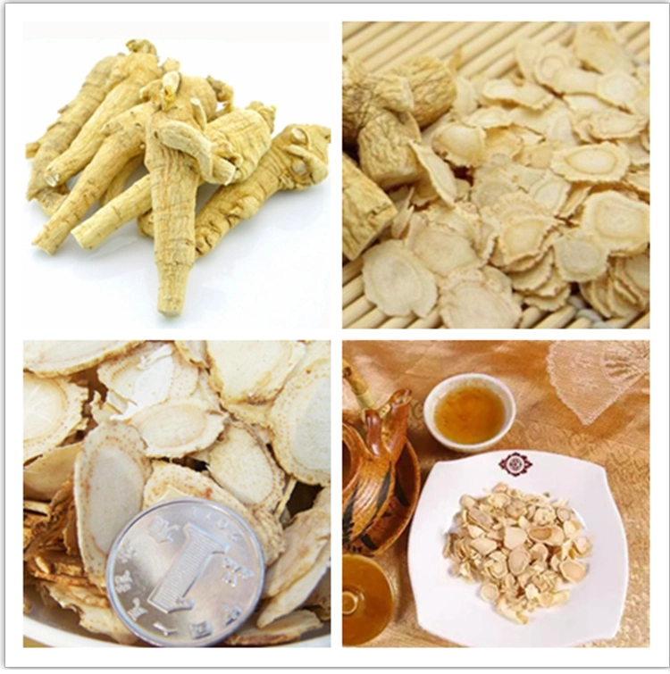 Manyprickle Acanthopanax/Siberian Gingseng Extract