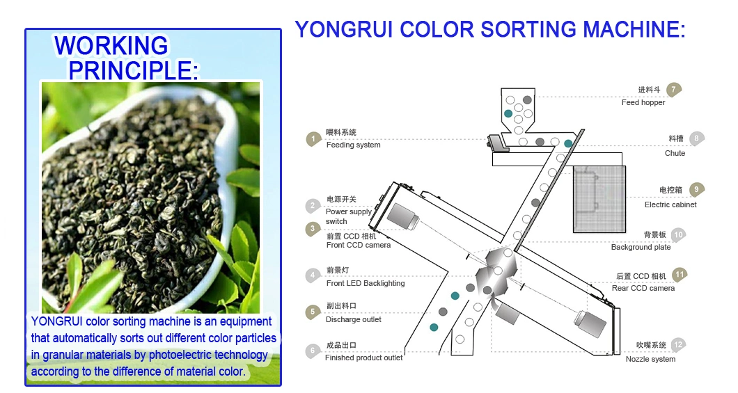 Black Tea Green Tea Oolong Tea Color Sorting Machine Tea Color Sorter