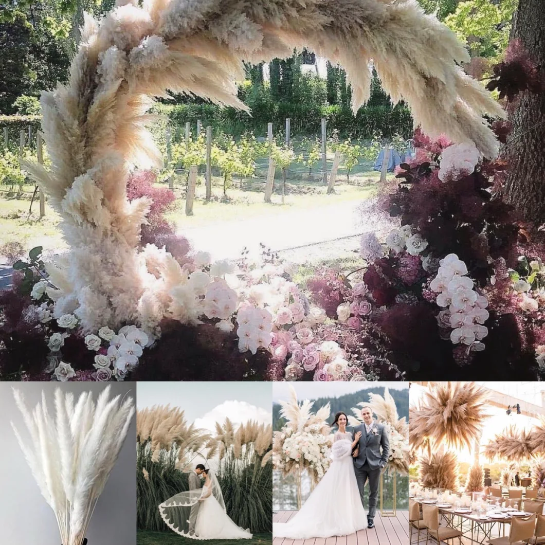 Grass Wedding Decor#Grass Wedding#Wedding Arch#Outdoor Wedding#Dried Grass#Dried Flowers#Natural Pampas Grass#Pampas Grass#Dried Pampas Grass