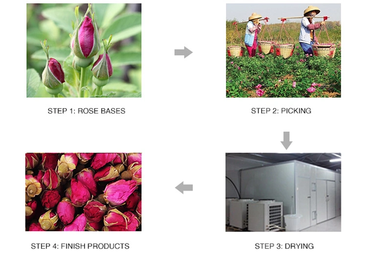 Good Quality Rose Buds/Top Quality Herbal Tea Rose Buds