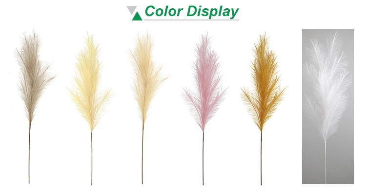 Wholesale Cheap Price Dried Flower Pampas Grass Natural Dried Flowers