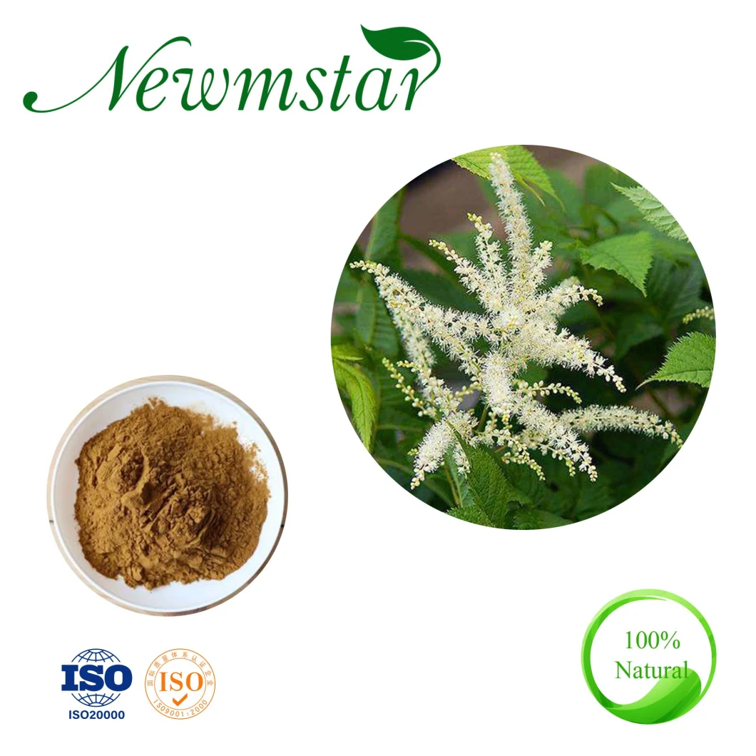 High Quality Black Cohosh Extract Cimicifuga Racemosa Extract