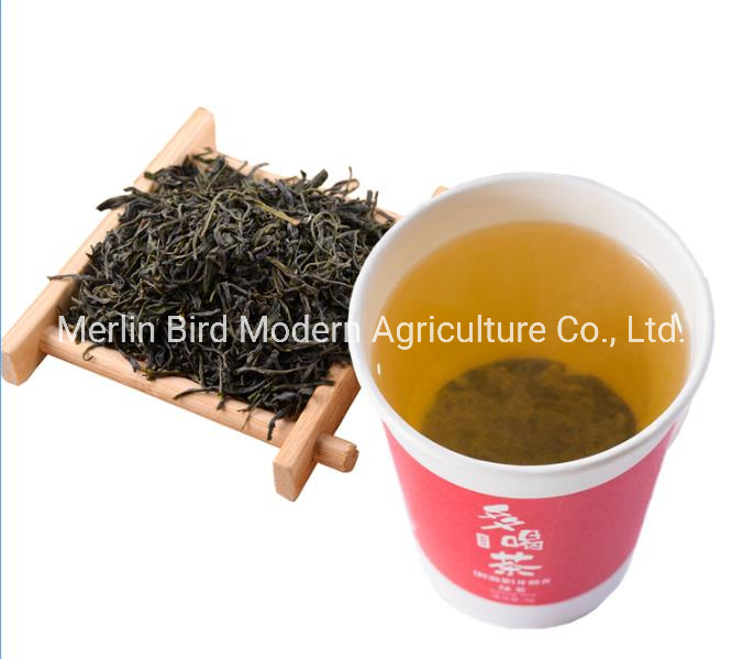 High Quality China Organic Jasmine Green Tea with USDA Certificate