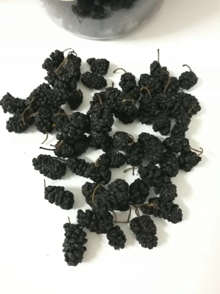 Organic Health Herbal Dried Mulberry Dry Fruit Tea